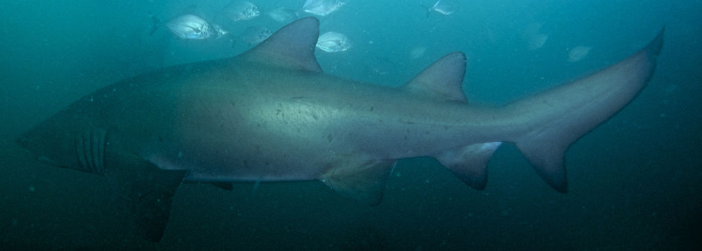 d73111c0-bb11-4b60-bcf8-eb7d65199dbb