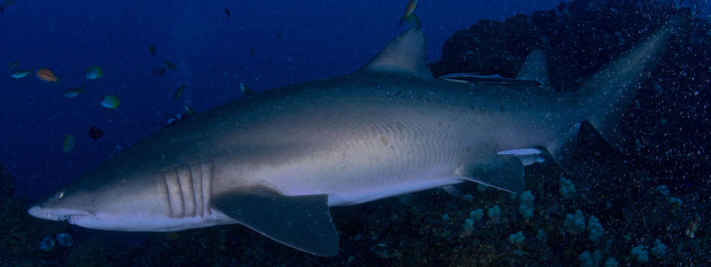 4bac256b-be34-40a7-bc90-0adfeb0a924c