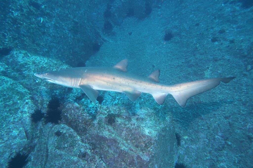 43c6c12b-4688-47de-9199-62586e3374a2