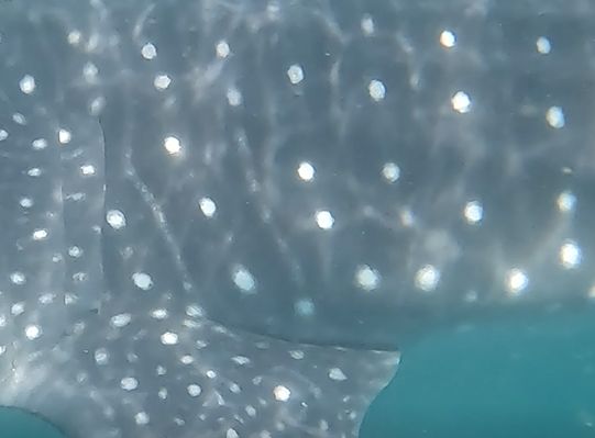 21cbcbc3-3d88-43a3-b5d2-0a497d609d7a