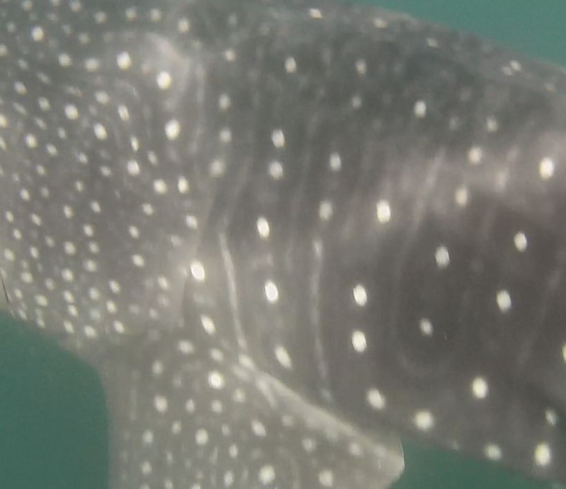 21cbcbc3-3d88-43a3-b5d2-0a497d609d7a