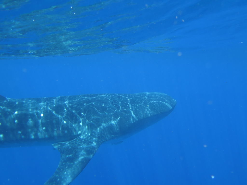 2da96c01-d7ca-4a82-bf90-d35980552f26