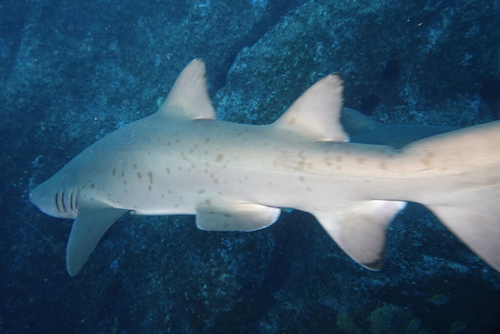 36074ac6-f211-4530-9221-7e520108641c