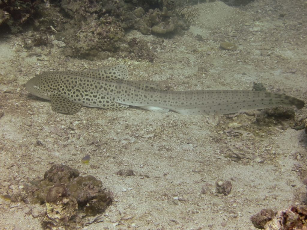 5ef5f265-981e-4ec7-be30-af64ee5d043e