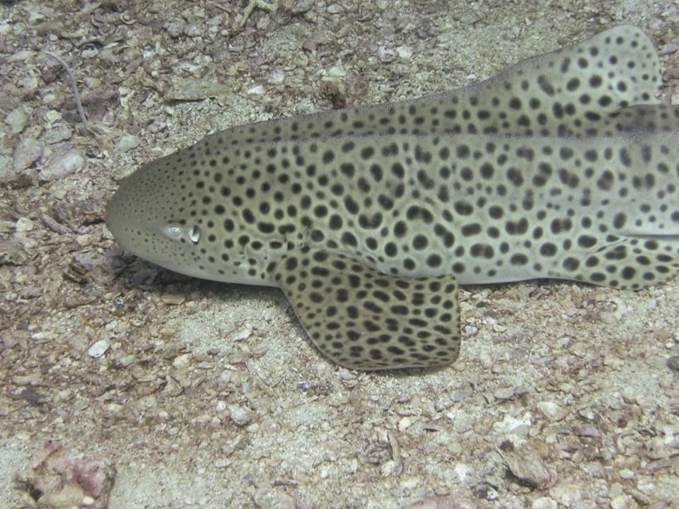 5ef5f265-981e-4ec7-be30-af64ee5d043e