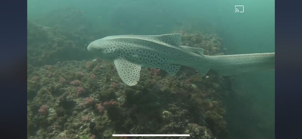 91d2a2ce-13ba-4ebe-b62b-7b579133a35e