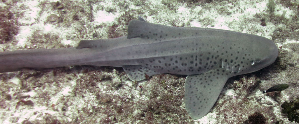 e13b6e51-0224-49cb-b80e-e9e92a43ae94