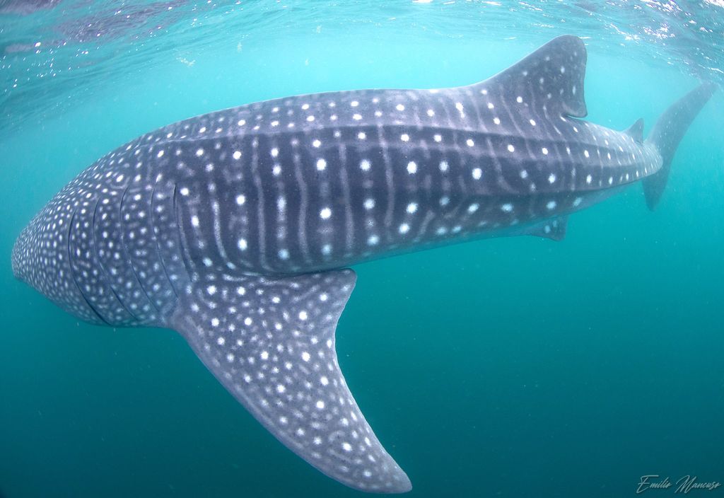 632741e8-208c-40ae-b08a-fba289c9ad25