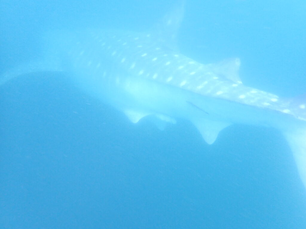 0929df14-d3cc-4a58-82a6-d3586d9da2b9