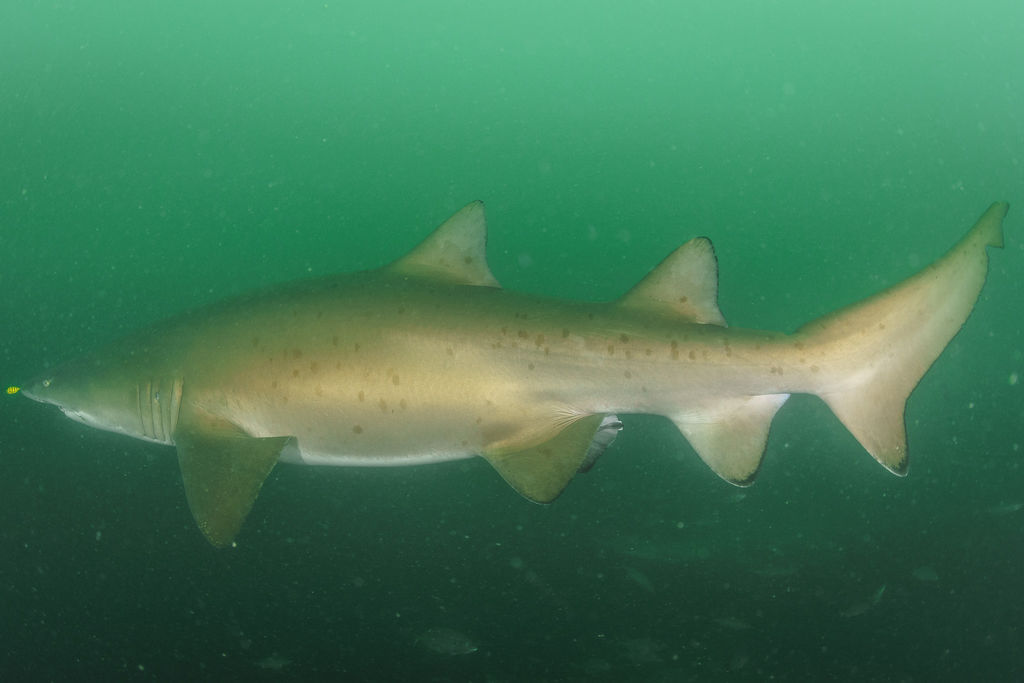 c48e6fd9-45e5-4dfd-a06c-85dcecdbe167