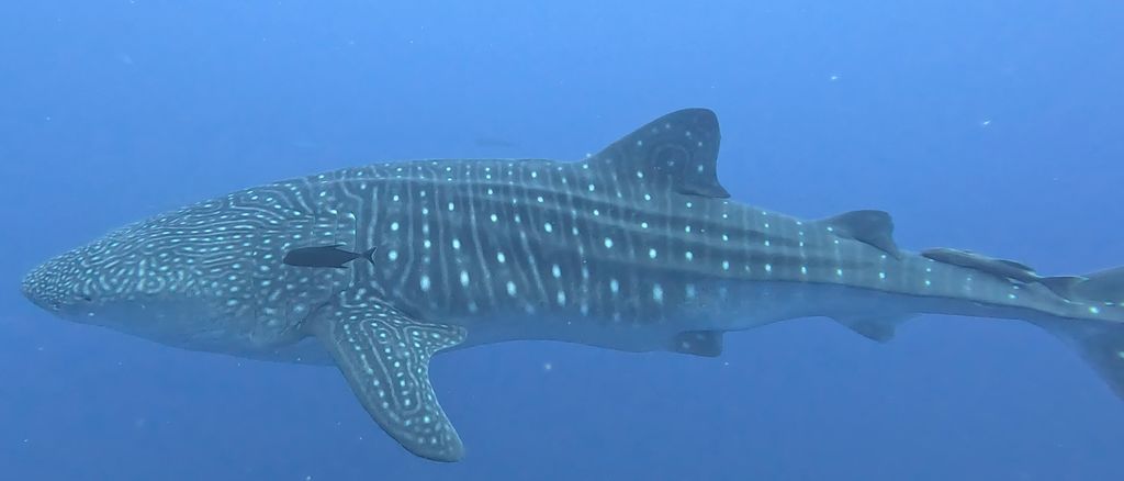 e91e61fb-ed8f-4b3d-a2eb-7d5cfb194ed4