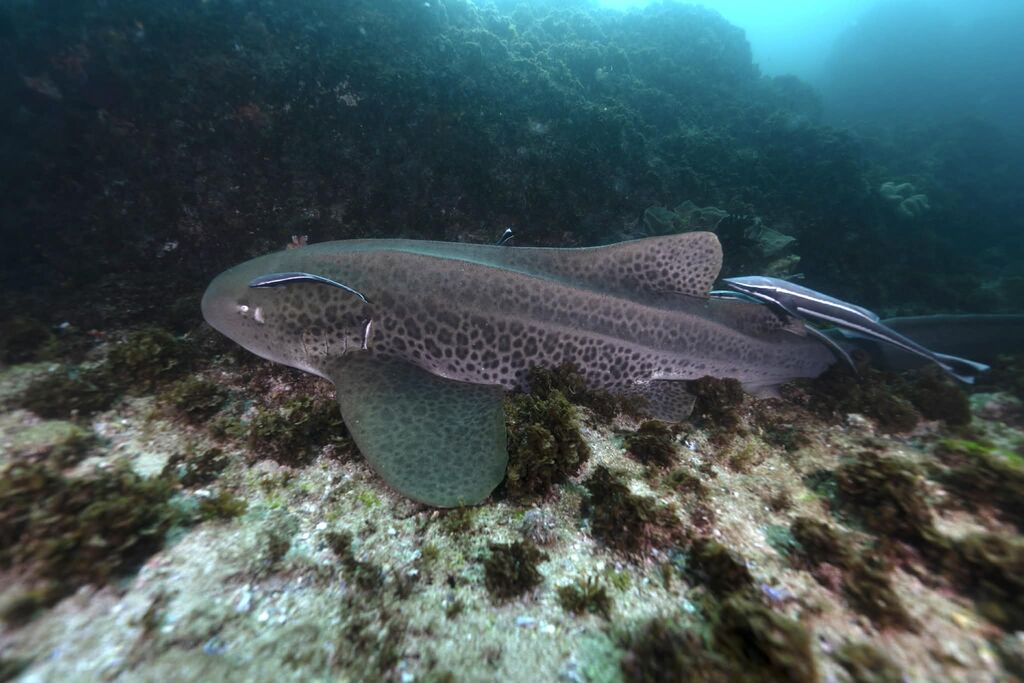 3d482080-3e40-42b1-8c47-afc025be04ed