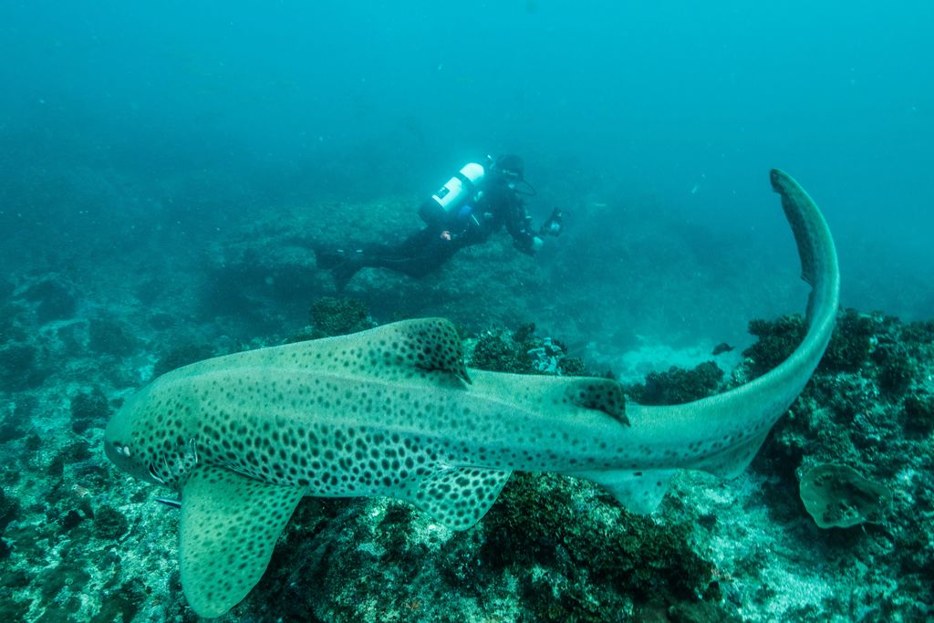 1e77c0d5-43a4-4e0f-adbe-8f5875a06363