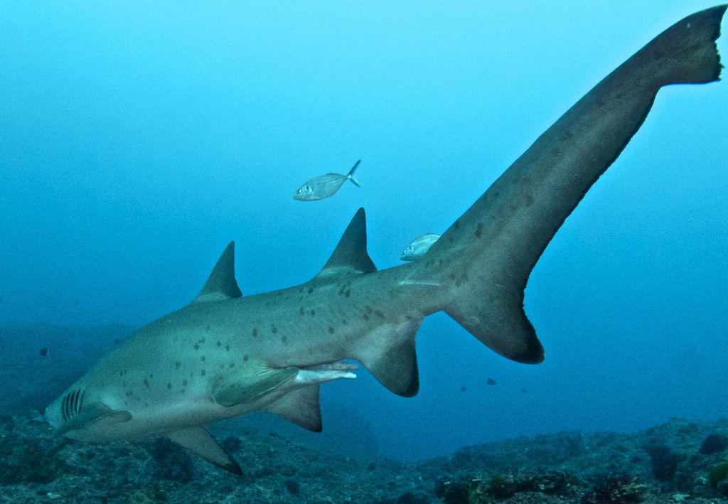 bd1d6c28-c837-4455-be14-59fb030cd35b