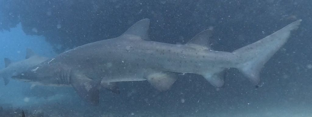 fd32378f-9d9a-42c1-96b7-a49c8100592c