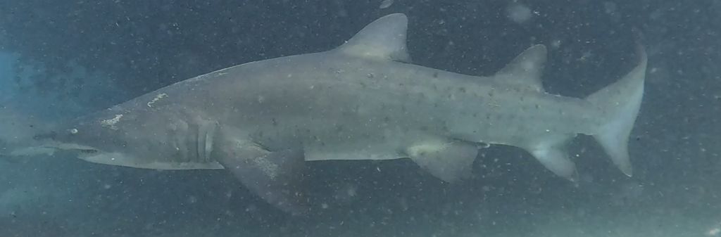 fd32378f-9d9a-42c1-96b7-a49c8100592c