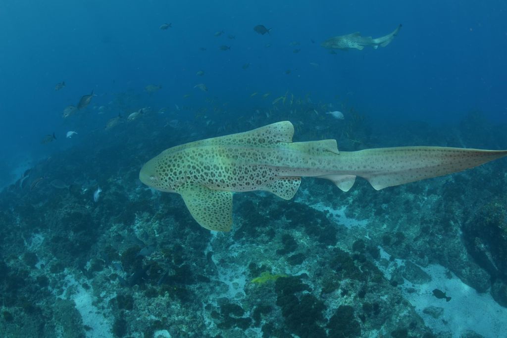 55e2f9e9-8464-47a1-9bd8-d76219fa0180