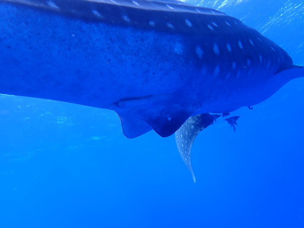 b86b4115-afd3-4356-9cde-d564604a8f2d