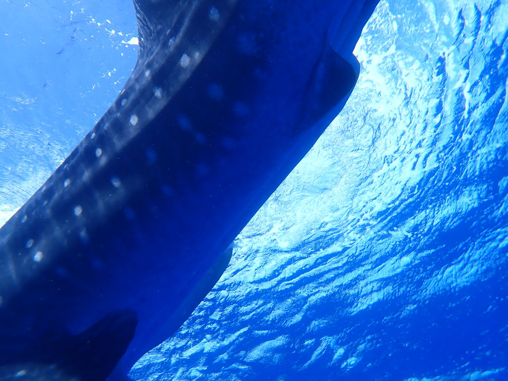 b86b4115-afd3-4356-9cde-d564604a8f2d