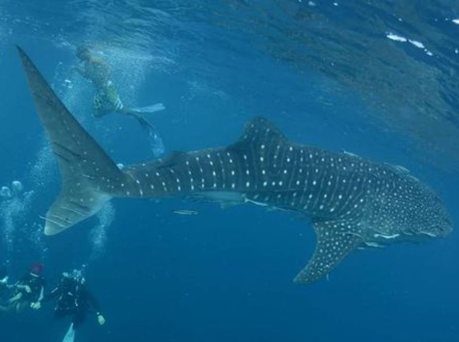 c2722779-30b3-4468-a2f5-944a86c3e5c3