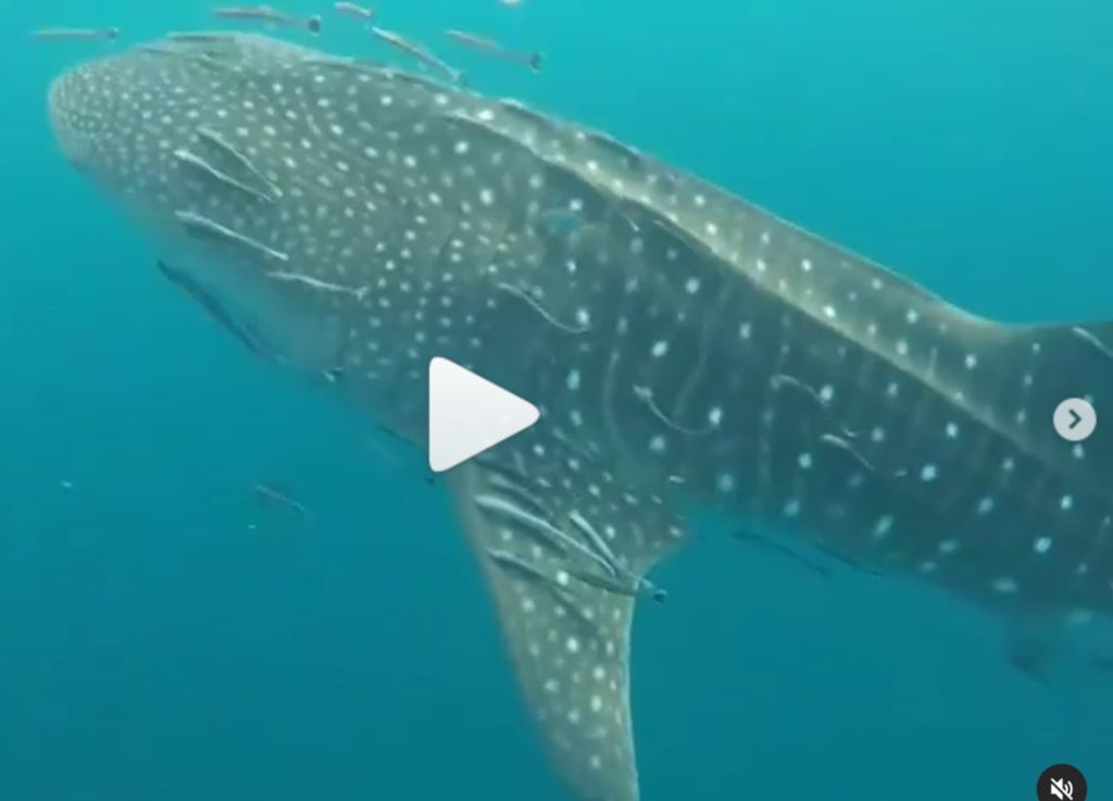 c2722779-30b3-4468-a2f5-944a86c3e5c3