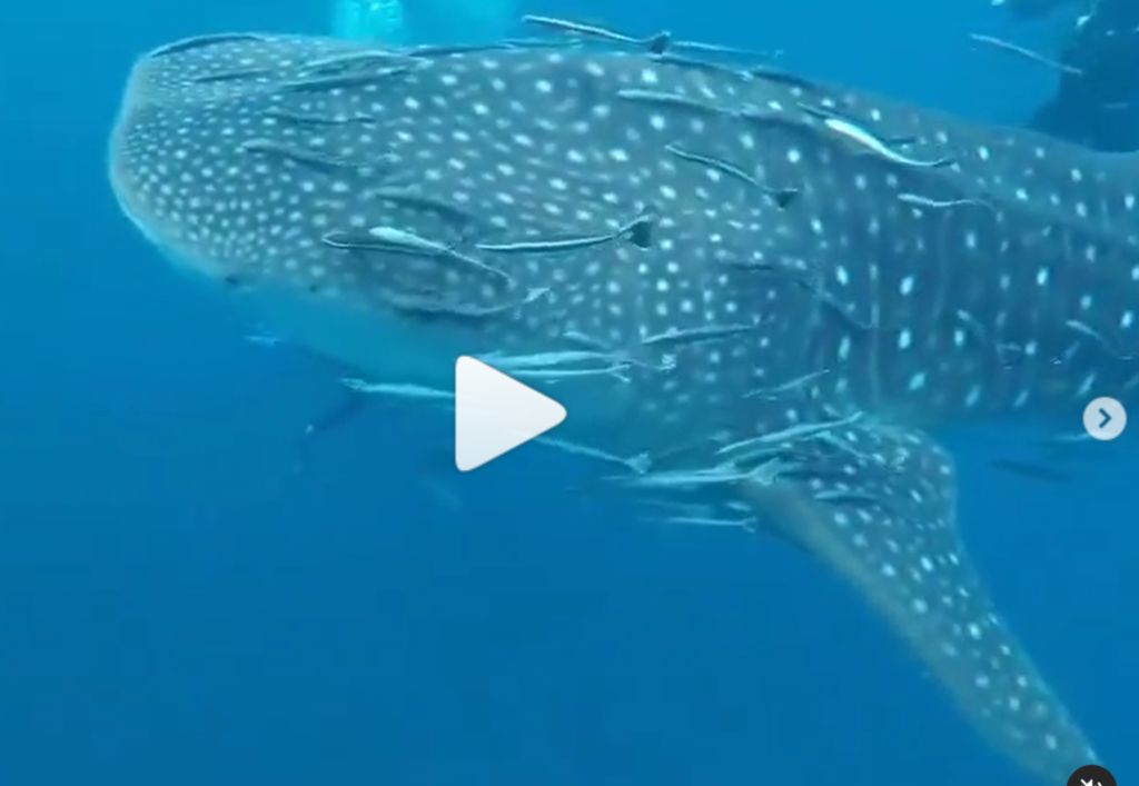 c2722779-30b3-4468-a2f5-944a86c3e5c3