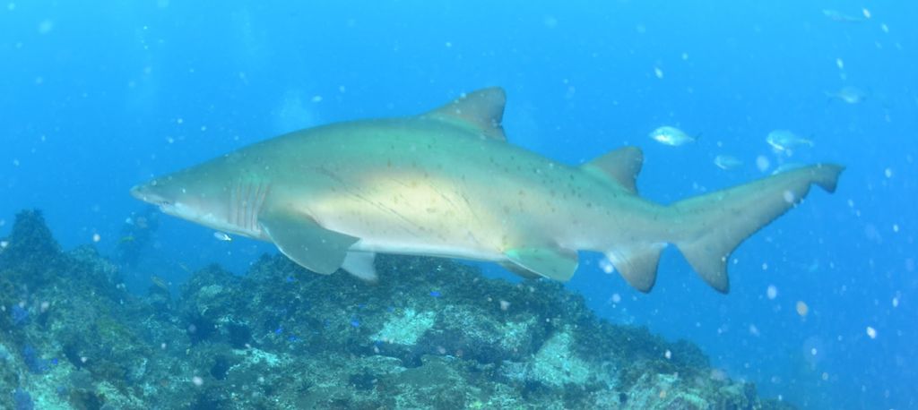 105642f2-2477-41dd-ad4c-fba165722d57