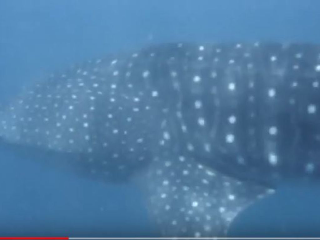 efba4fd2-1643-4a1e-96c2-010d1cdb8163