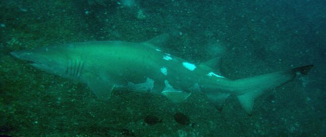 2b111575-0eb8-44b6-98a7-74fca564a6c7