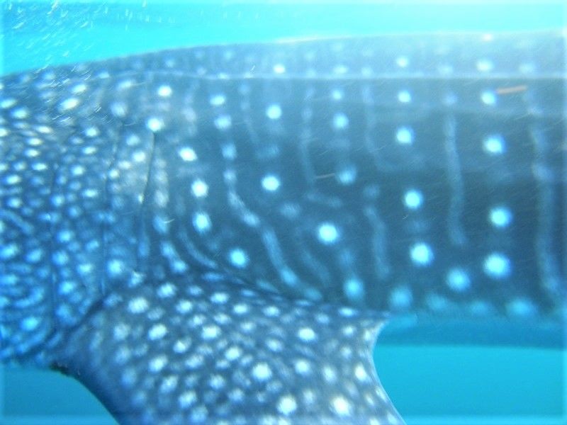 34517be9-cfd3-41ab-8404-59d1b79c6d09