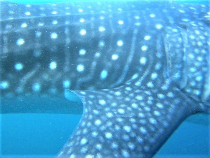 34517be9-cfd3-41ab-8404-59d1b79c6d09