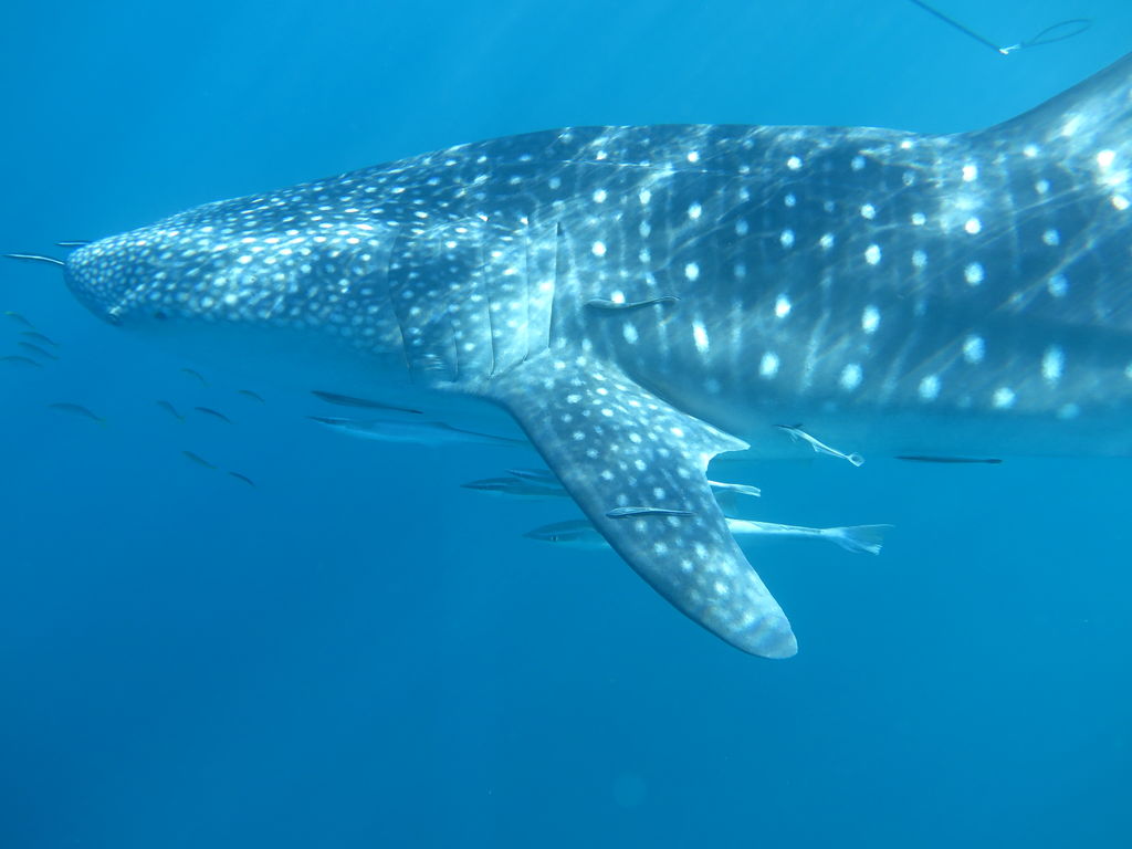 58296a3c-927e-4162-9547-87e2ac8c61f4