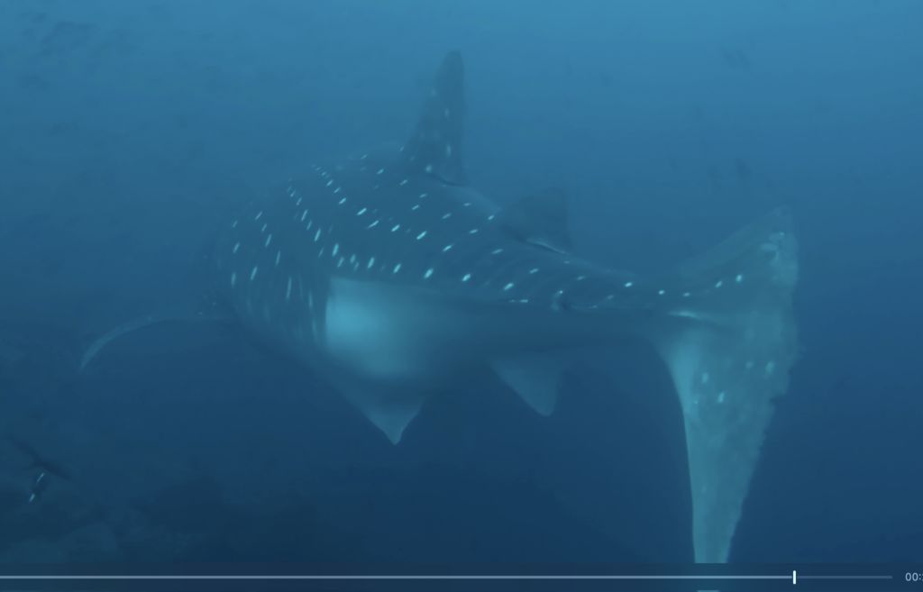 3d5e9027-1e36-46a1-a15e-a9914bf9a612