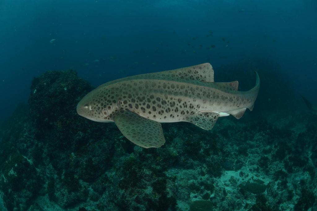 a120f652-9ec0-437c-9eb2-ea69868576e1