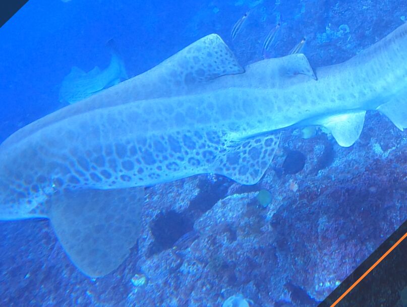 f1e55fd3-efa8-48df-a4e7-2c6819498473