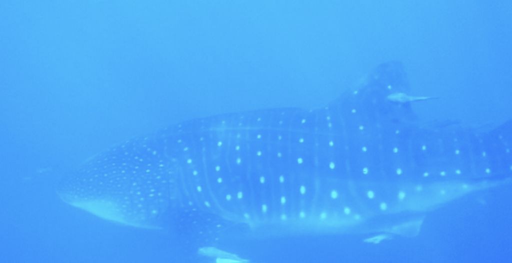 0d3526b5-da21-4fa4-86cb-18675d4d1f39