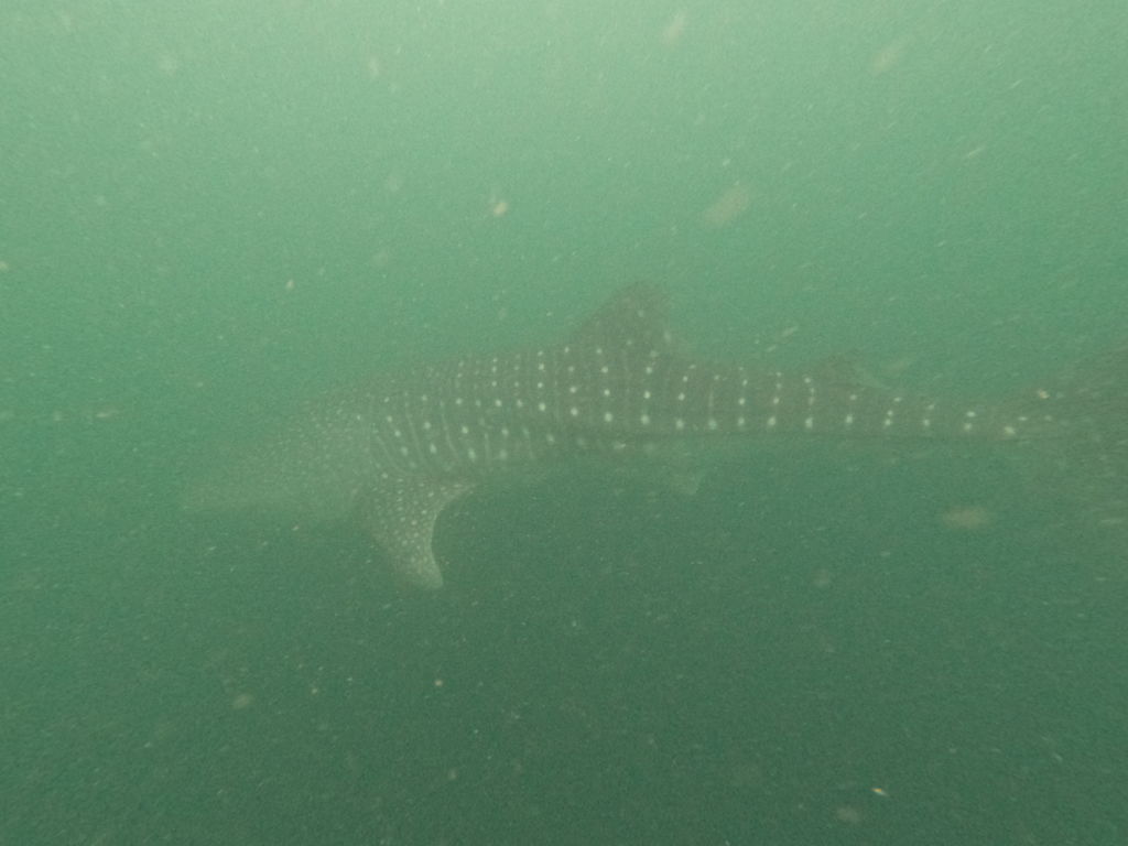 fdc901be-e439-4106-a4fd-4bb0fa263fa6