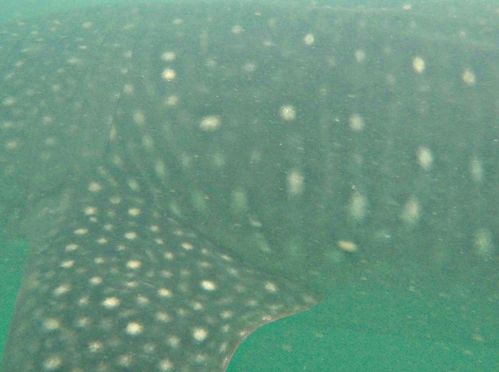 53a9613f-8381-4c3c-9634-20f953dbd860