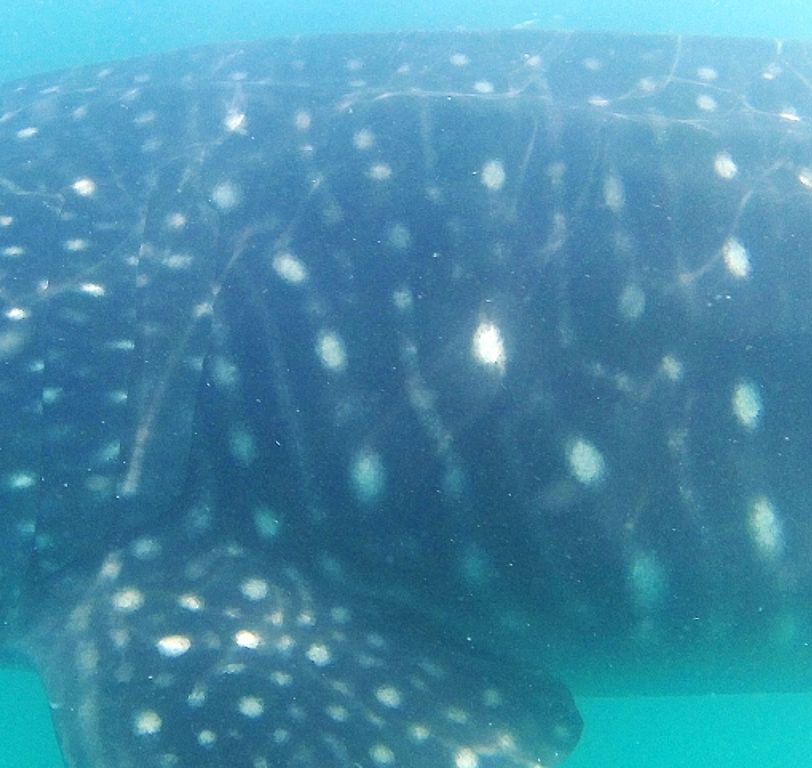 41196b70-2681-4ca7-9c62-2769257c7449