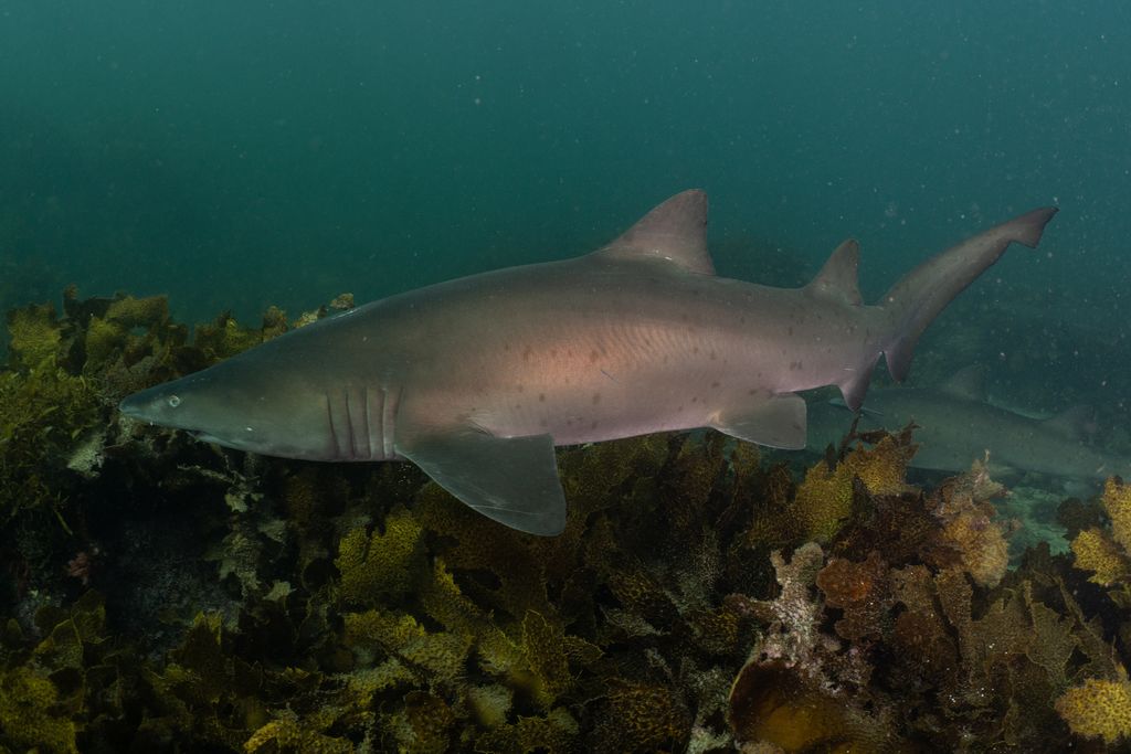 7f9f7930-97d8-4534-95f4-d85a60b195b7