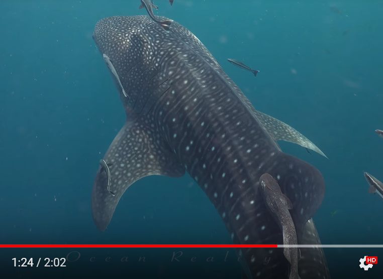 e9d03b6d-ff48-4880-a73d-80224f59afac