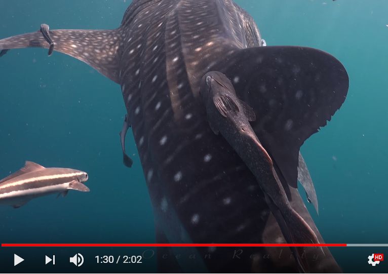 e9d03b6d-ff48-4880-a73d-80224f59afac