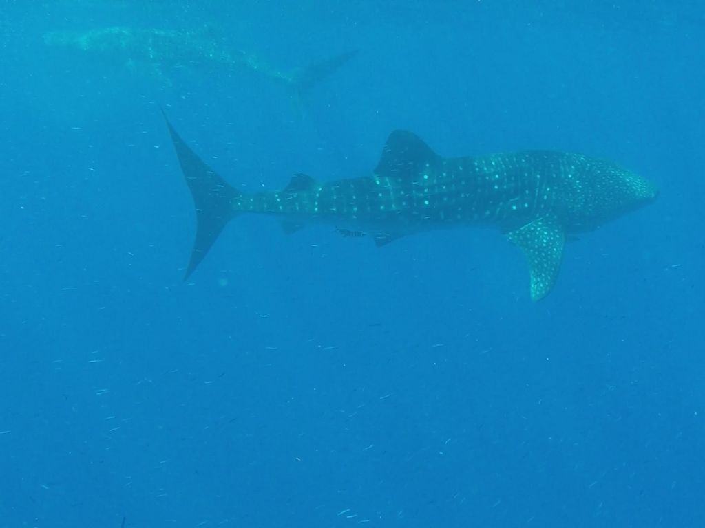 1f25a279-de6d-4f62-a263-10c46830efc8