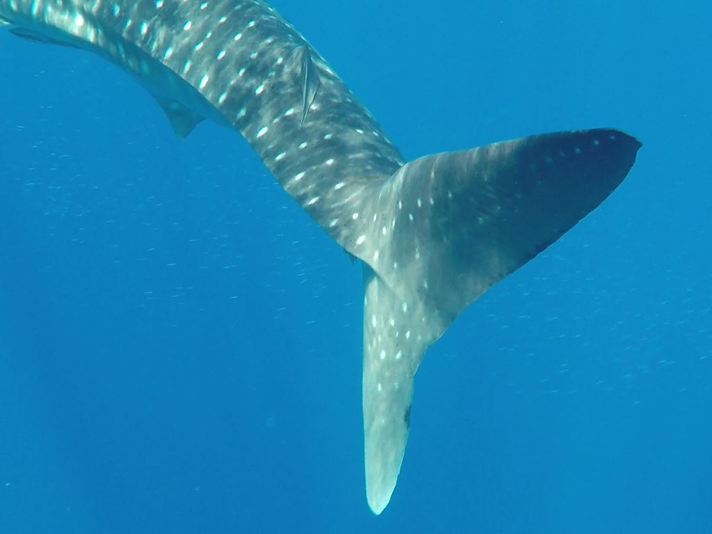 1f25a279-de6d-4f62-a263-10c46830efc8