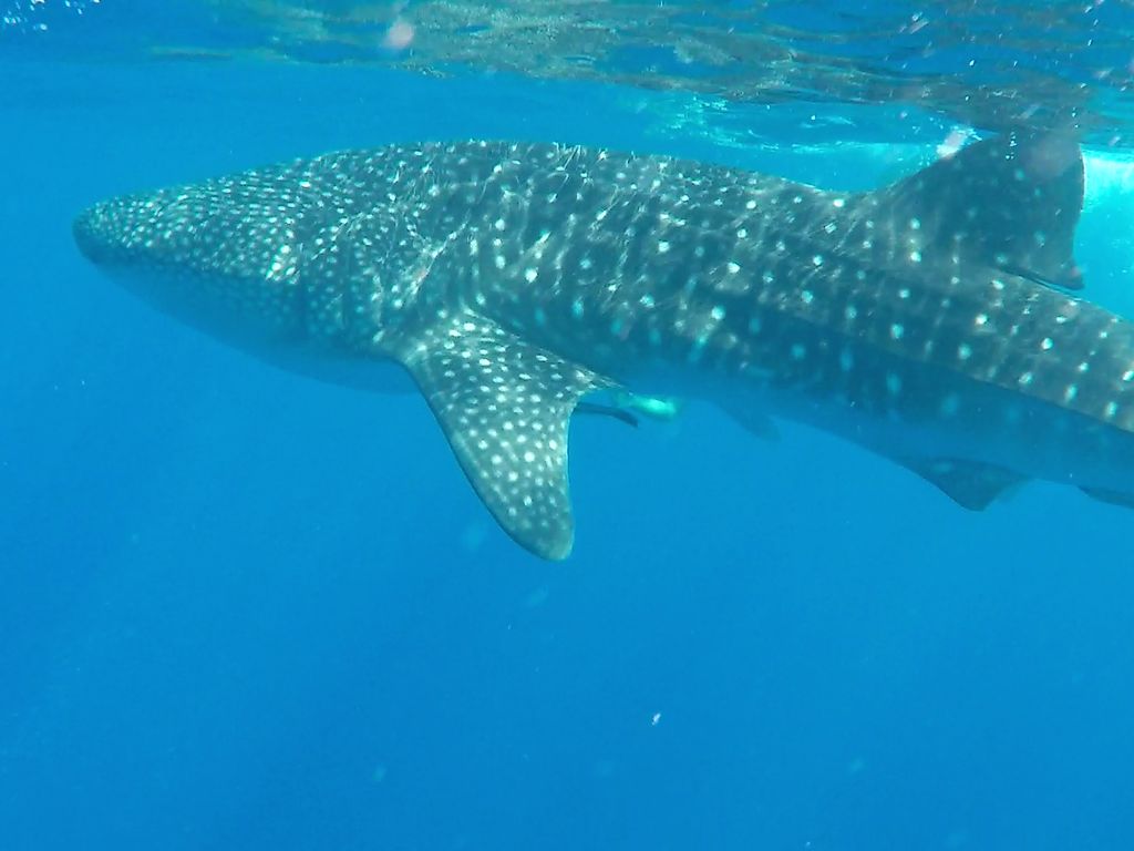 1f25a279-de6d-4f62-a263-10c46830efc8