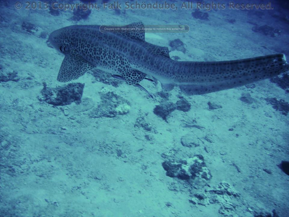 1f6081f7-5b35-45dd-8792-98b7d0cd9737