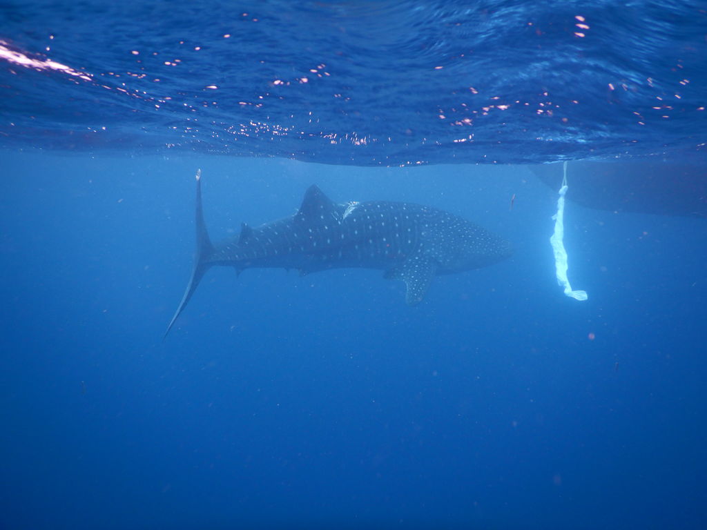 1b18ced9-a1c4-4fa6-aef8-e34f97ecc8ff