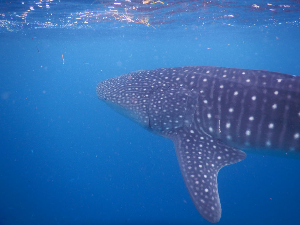 1b18ced9-a1c4-4fa6-aef8-e34f97ecc8ff