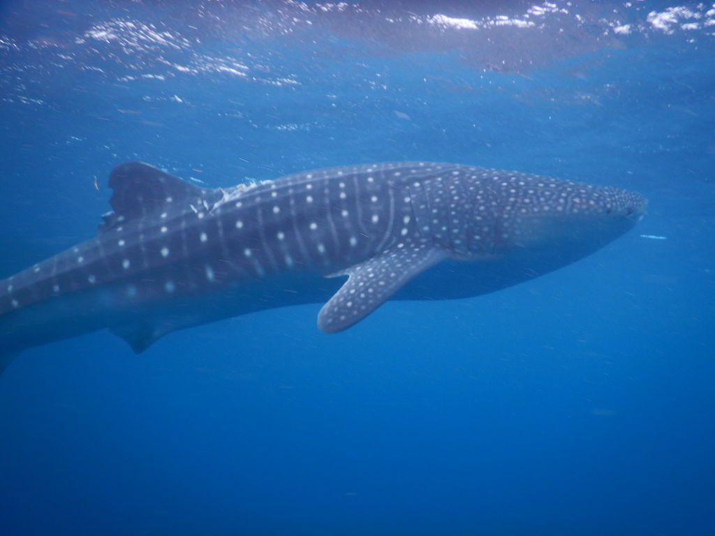 1b18ced9-a1c4-4fa6-aef8-e34f97ecc8ff