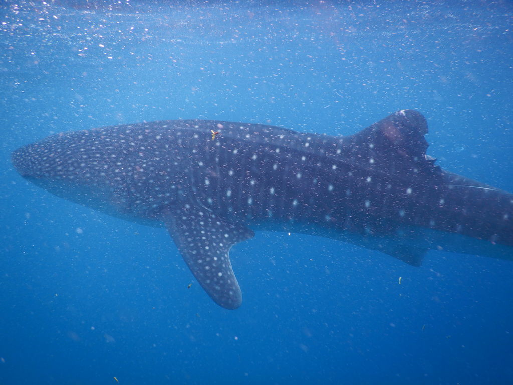 1b18ced9-a1c4-4fa6-aef8-e34f97ecc8ff